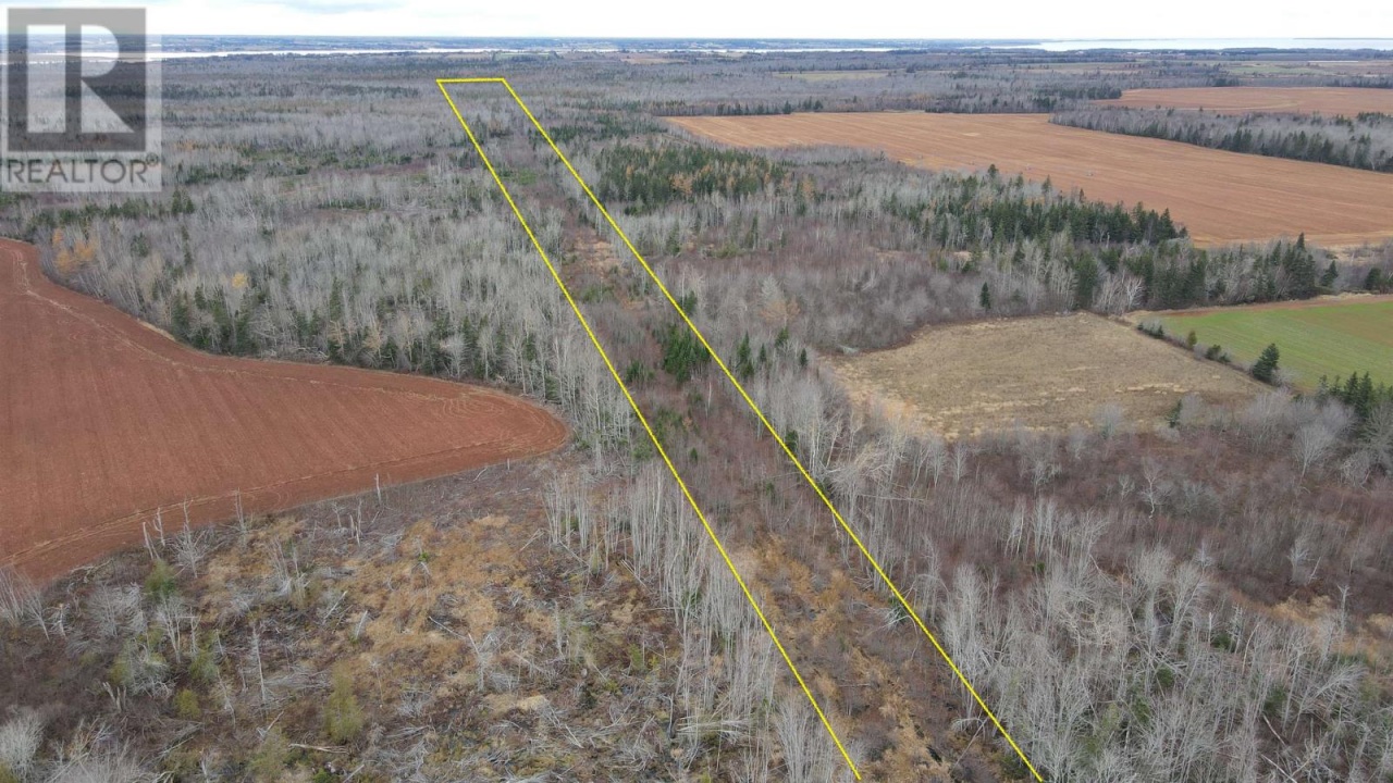 0 Western Road0 Western Road, Miscouche, Prince Edward Island C0B1T0, ,Vacant Land,For Sale,0 Western Road,202226412