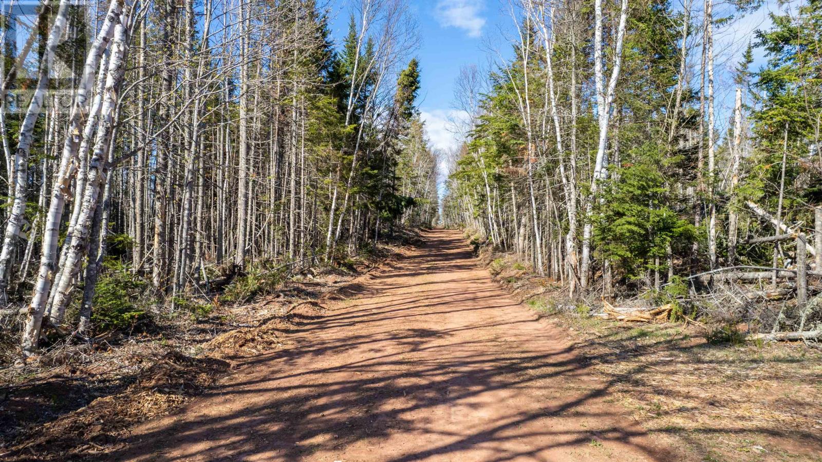 Lot High RoadLot High Road, South Pinette, Prince Edward Island C0A1R0, ,Vacant Land,For Sale,Lot High Road,202309534