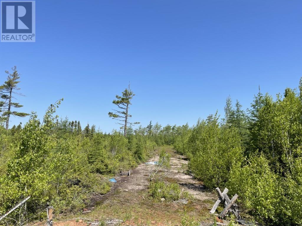 Whim RoadWhim Road, Lower Montague, Prince Edward Island C0A1R0, ,Vacant Land,For Sale,Whim Road,202323337